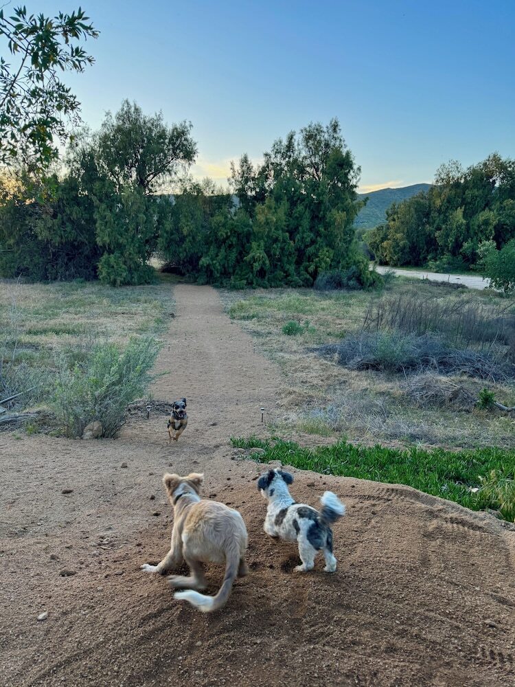 Rancho Dominique Valle De Guadalupe