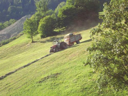 Agroturismo Pension Forsthof