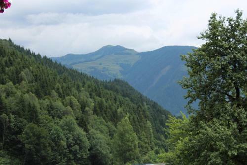 Apartamento Haus Burgi