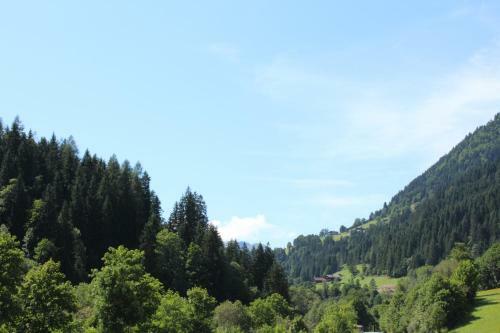 Apartamento Haus Burgi