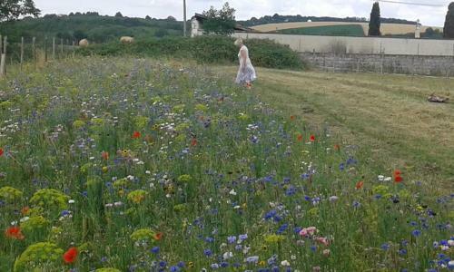 Bed & Breakfast La Ferme Du Temple