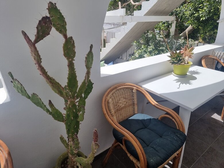 Santorini Studios Pleasure By The Sea