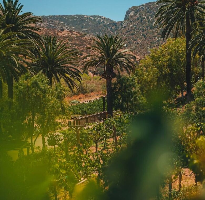Bandy Canyon Ranch