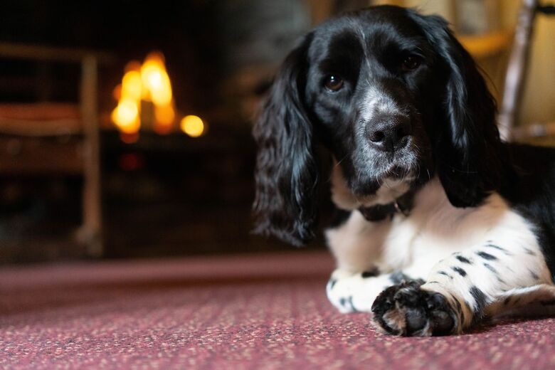 Bed & Breakfast Duke Of York