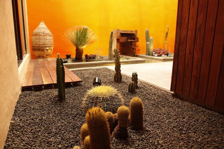 Coyoacan-inn Guesthouse