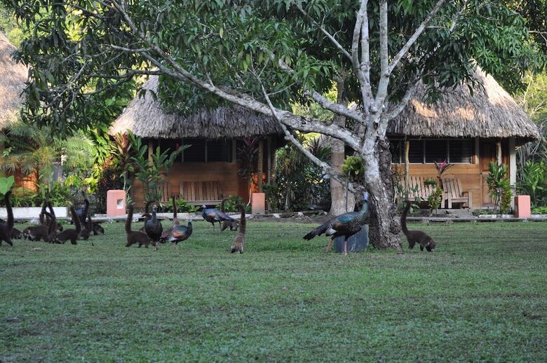 Hotel Tikal Inn