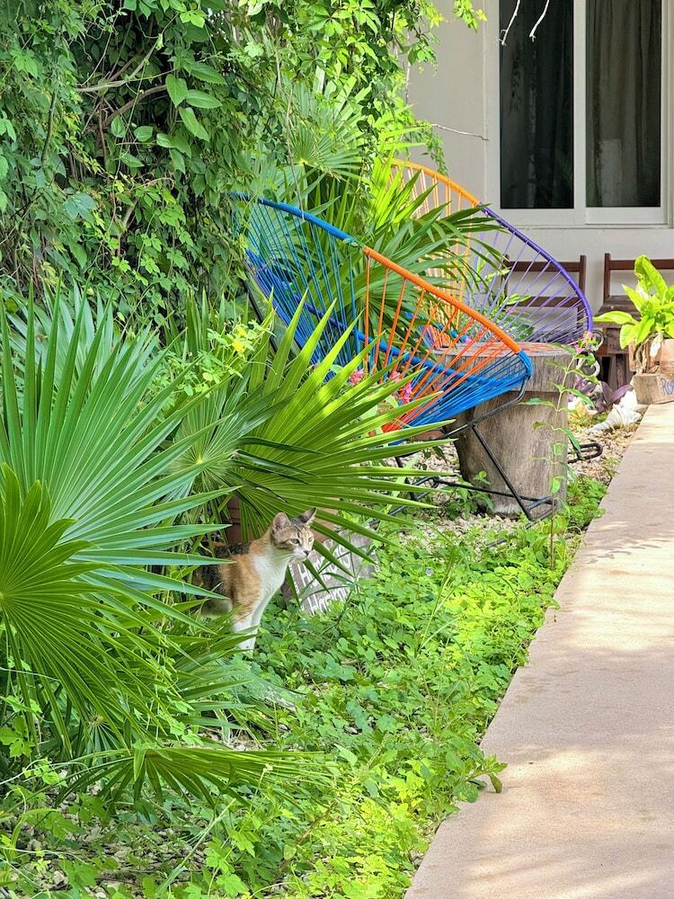 Hotel Jaiba Mahahual