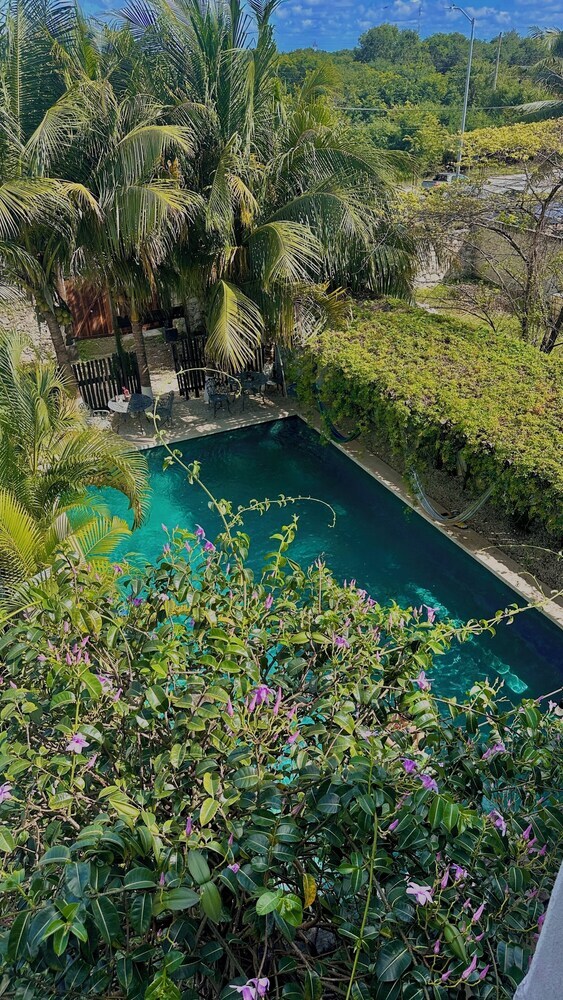 Hotel Jaiba Mahahual