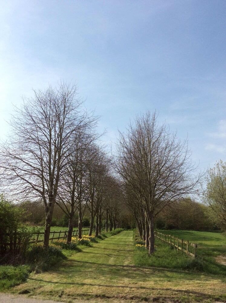 Bed & Breakfast Waldegrave Farm