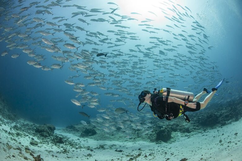 Four Seasons Explorer, Palau - Cruising Resort