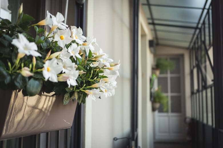 Bed & Breakfast Piccola Torre Maison