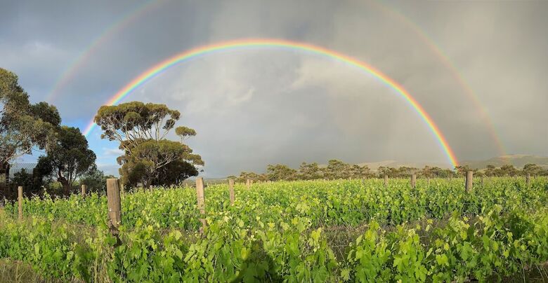 Bed & Breakfast Old Chaff Mill Retreat - - Luxury Vineyard Accommodation