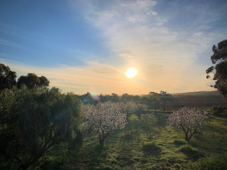 Bed & Breakfast Old Chaff Mill Retreat - - Luxury Vineyard Accommodation