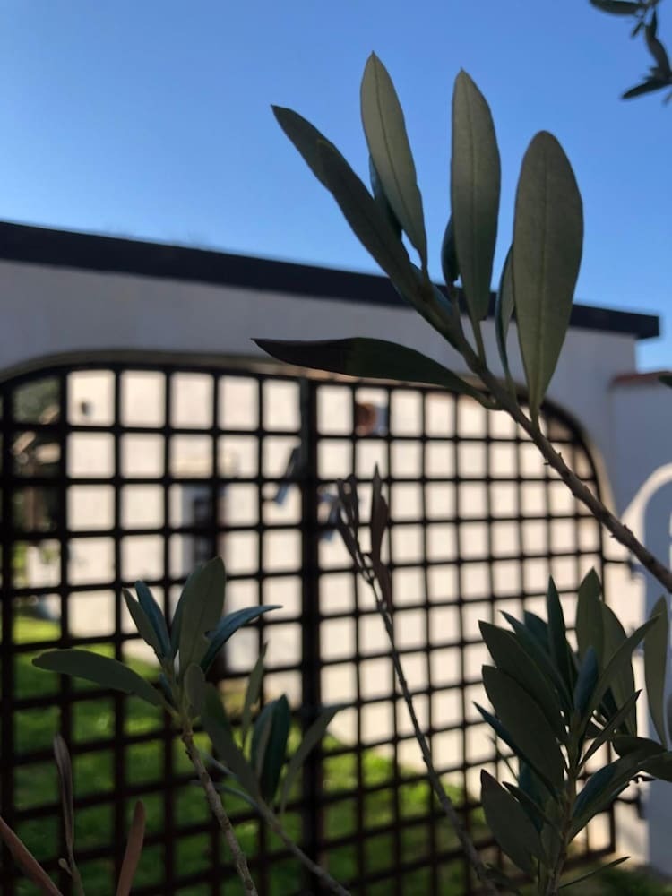 Hotel H�tel Mas Le Sauvageon