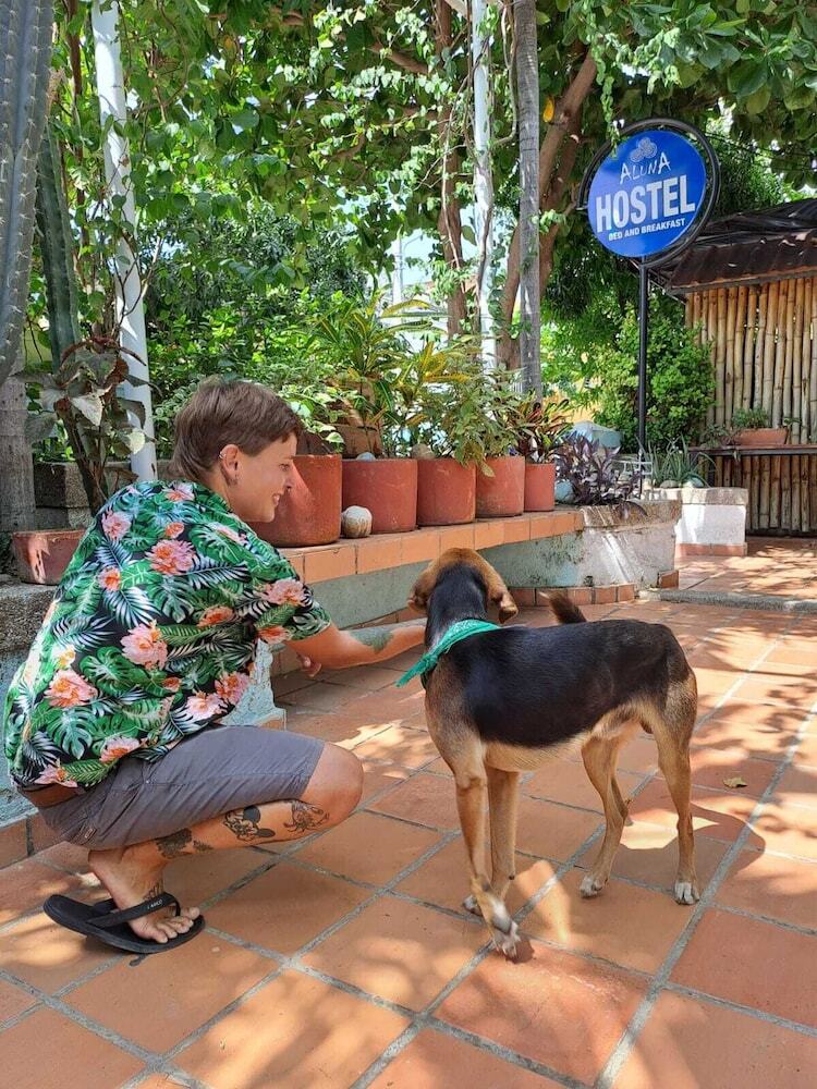 Aluna Hostel B&B