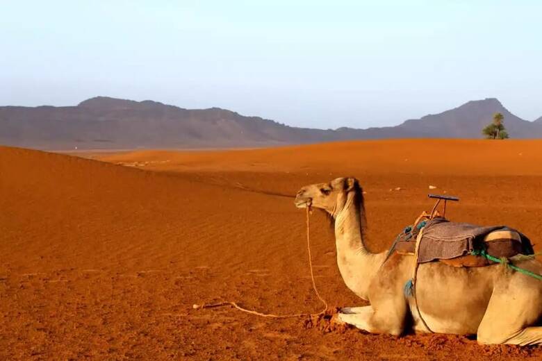 Riad La Fayette Bed & Breakfast
