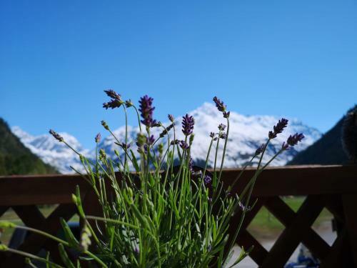 Piz-hotel