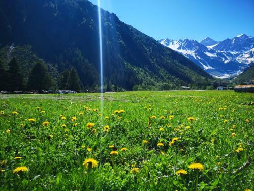 Piz-hotel