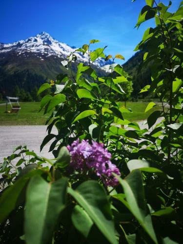 Piz-hotel
