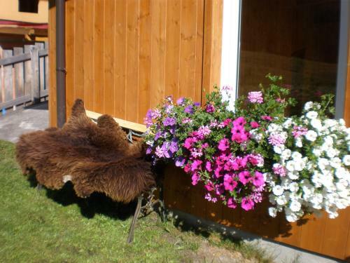 Apartamento Haus Bergfreund