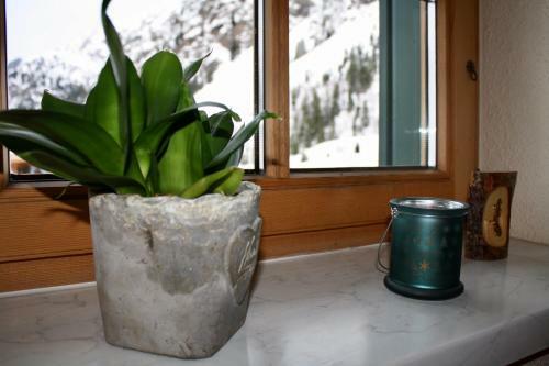 Apartamento Pension Alpin