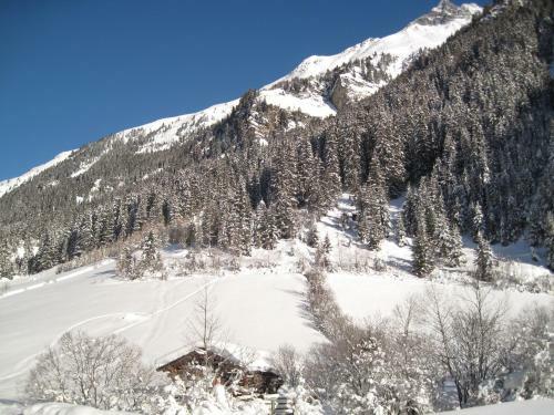 Apartamento Appartement Alpina