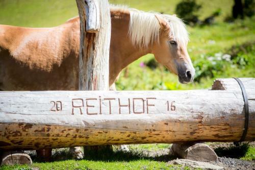 Hostal Almhof-reithof Pitztal