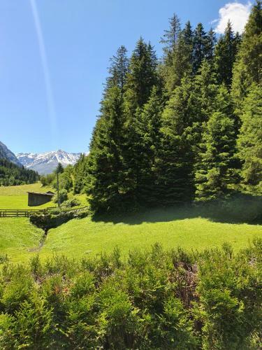 Apartamento Haus Bergheimat