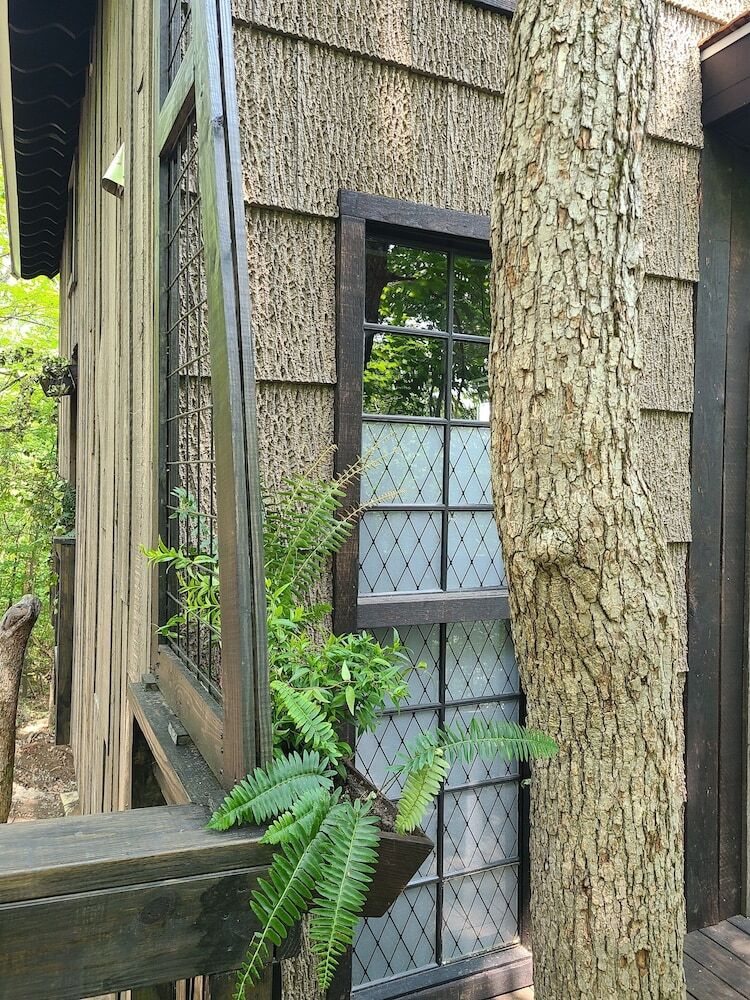 The Treetop Hideaways At Ruby Falls