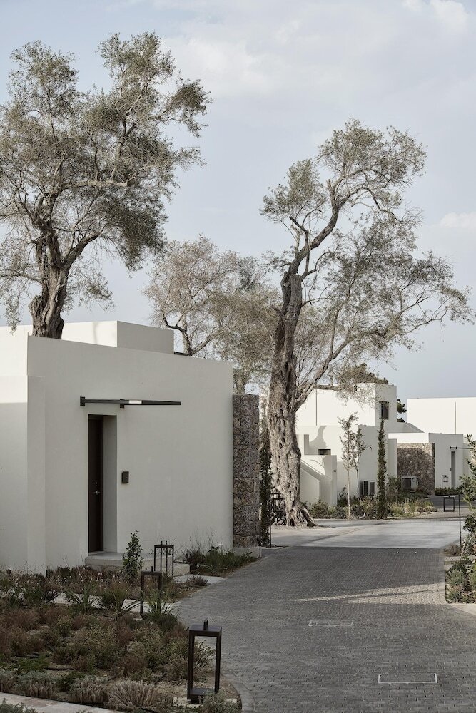 Hotel The Olivar Suites