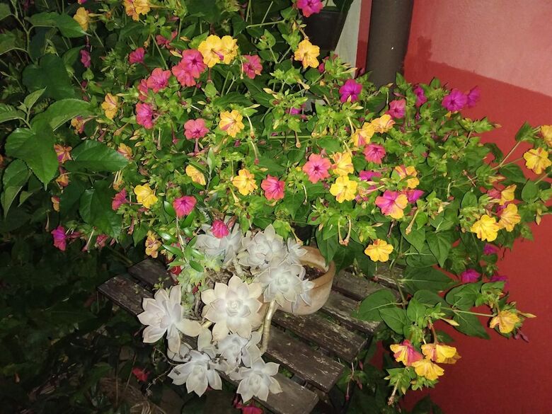 Bed & Breakfast A Casa Di Sandra