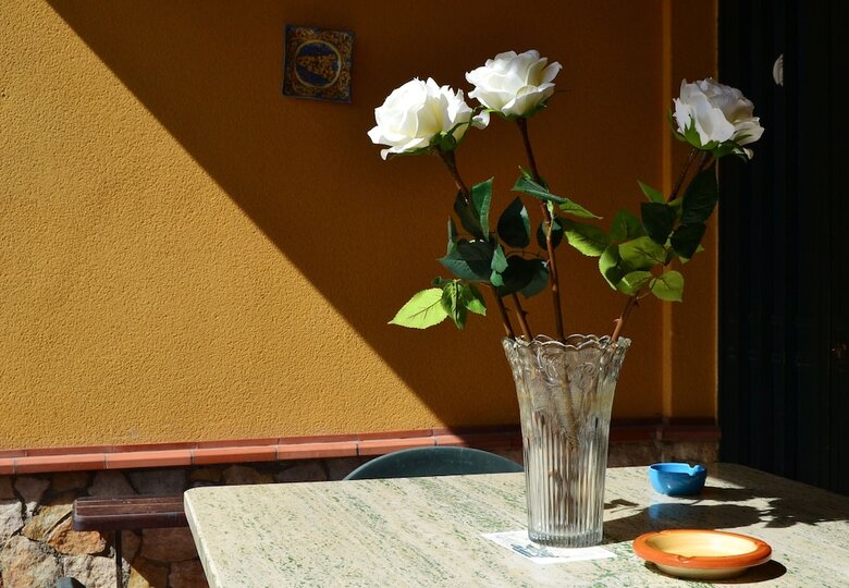Bed & Breakfast B B S Elia Villa Surrounded By Greenery Inside The Historic Dubini Park