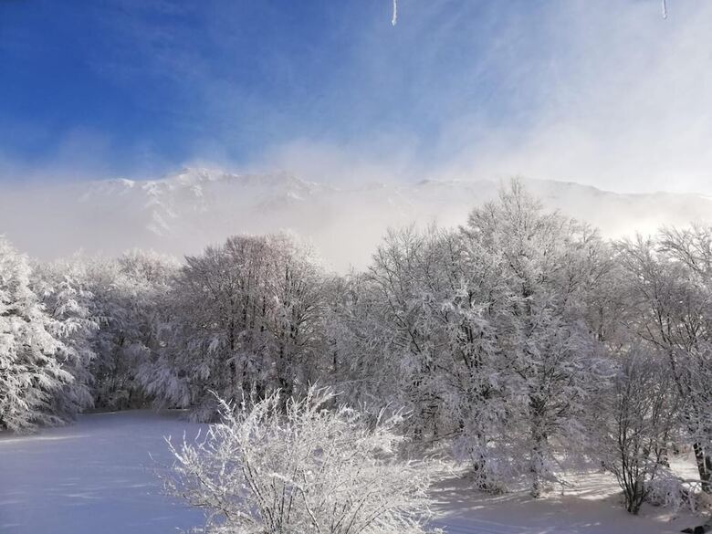 Gite - Auberge Le Chamois