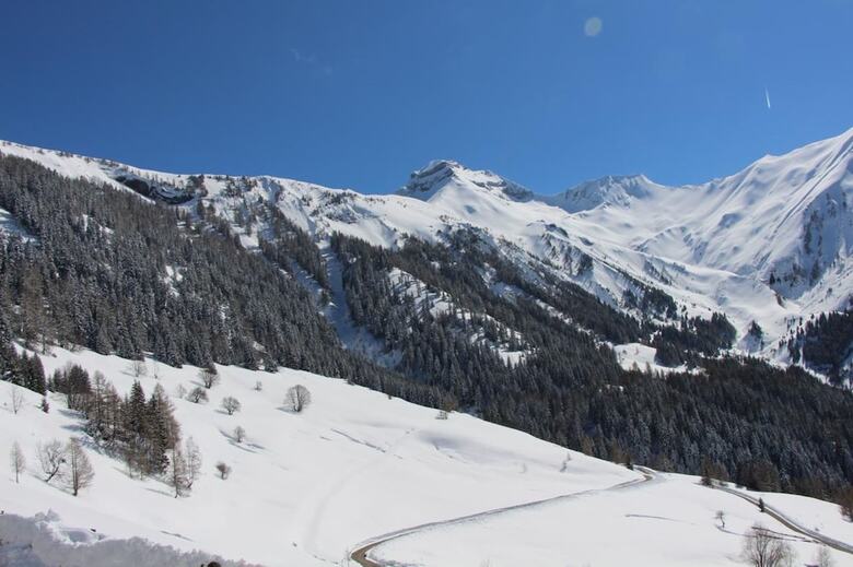 Gite - Auberge Le Chamois