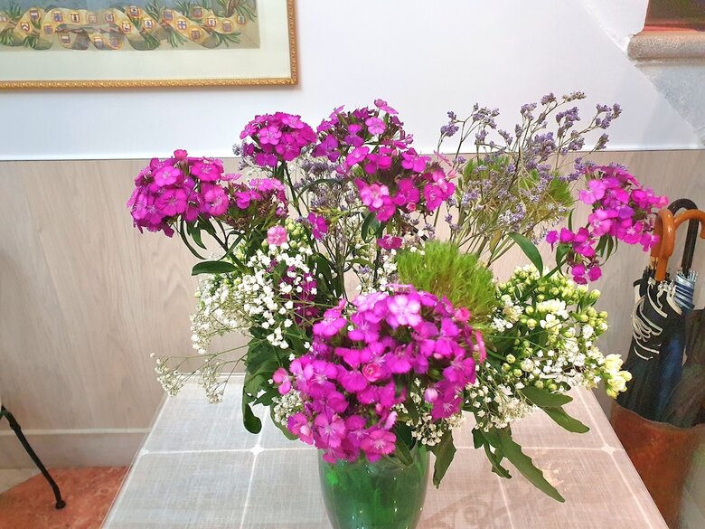 Bed & Breakfast Residenza Degli Angeli