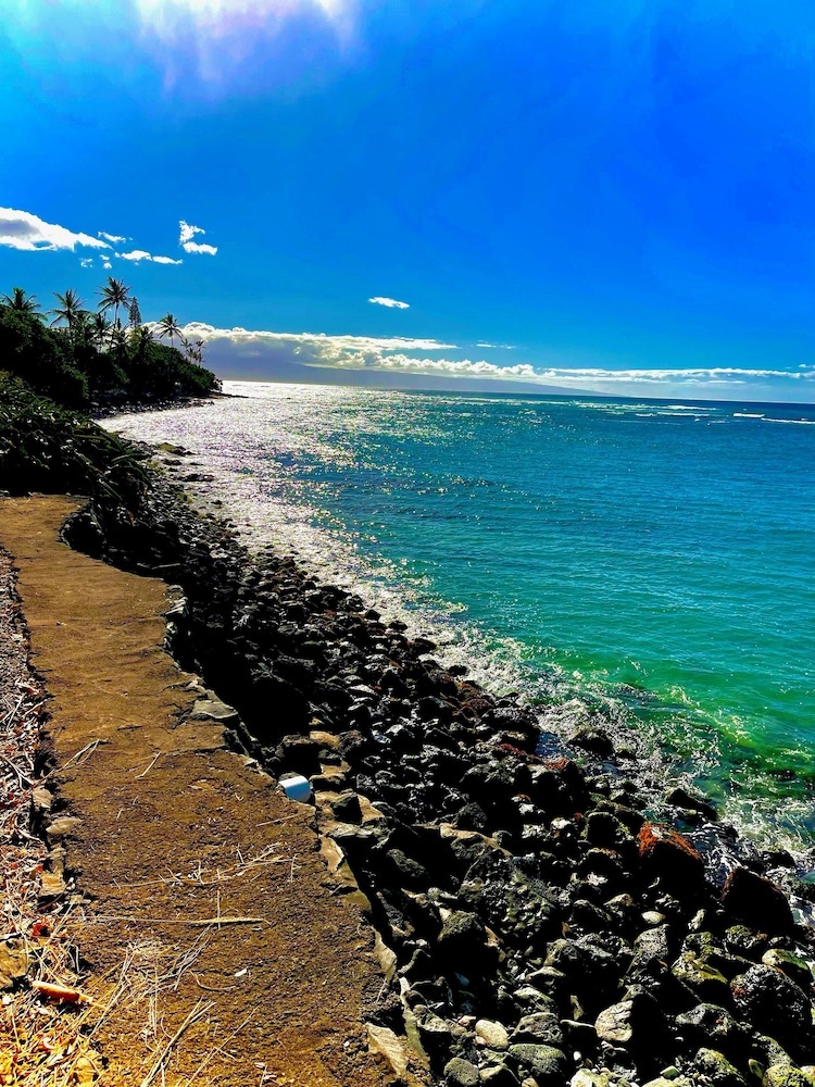 Maui Beach House