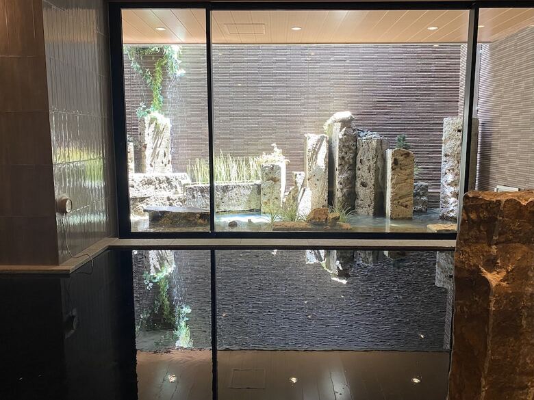 Dormy Inn Premium Ginza Hot Springs