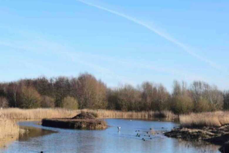 Cozy Lodge Sleeps 4 In Barton-upon-humber