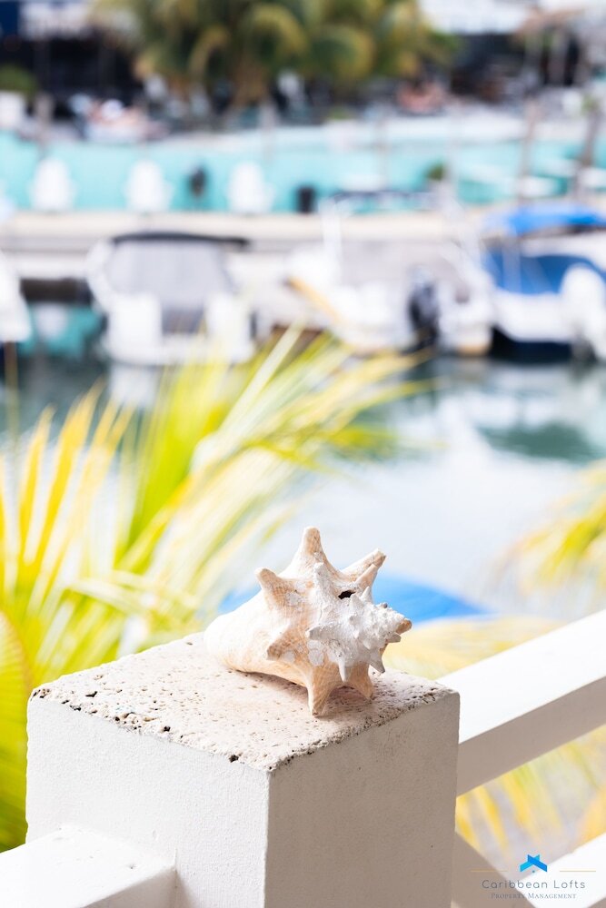 Apartamentos Caribbean Lofts Bonaire
