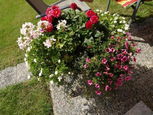 Apartamento Haus Waldfriede