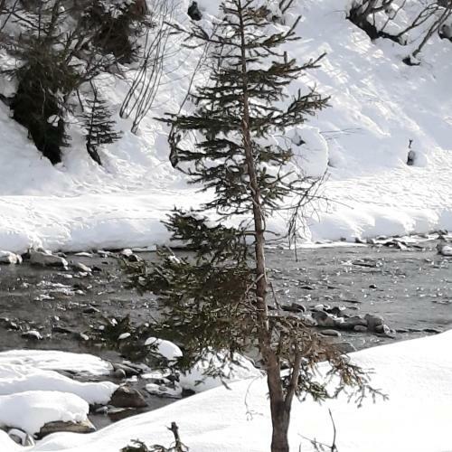Apartamento Haus Waldfriede