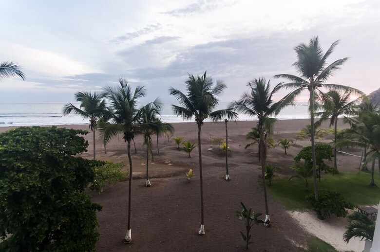 The Palms By Dream Makers