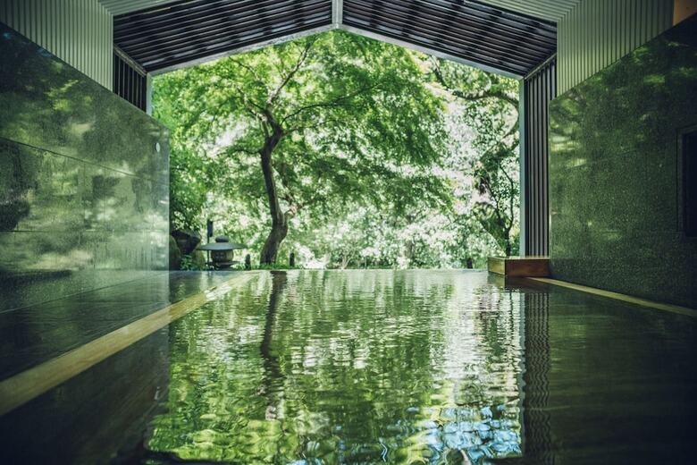 Hoshino Resorts Kai Hakone