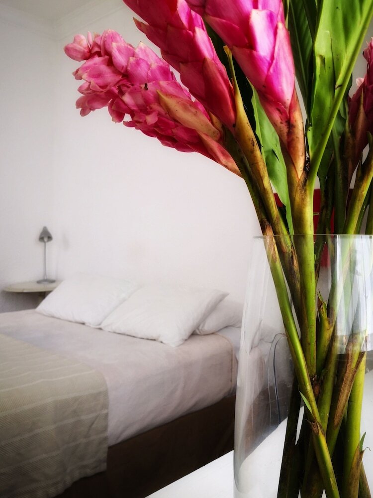 Bed & Breakfast Distrito Condesa Rooms And Studios