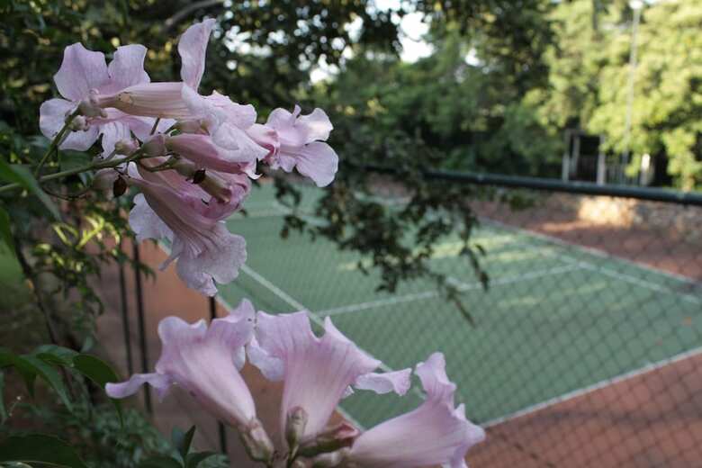 Northcliff Manor Guest House