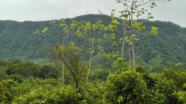 La Ceiba Ecoadventures