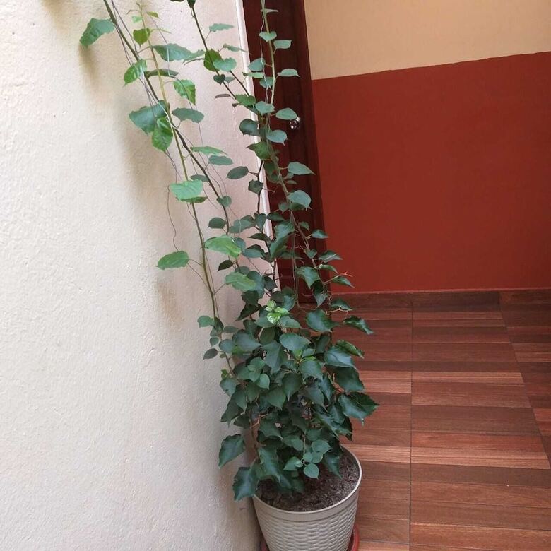 Hotel Hostal Downtown Quito