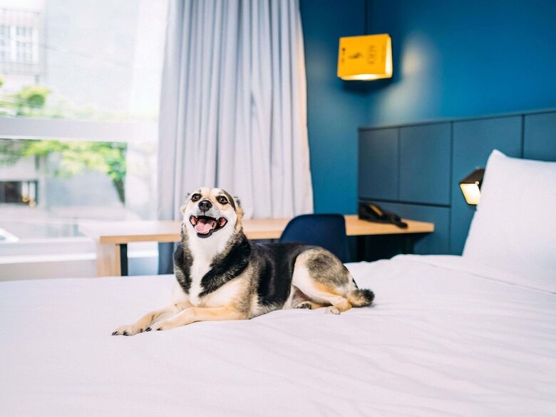 Hotel Ibis Styles Po�os De Caldas