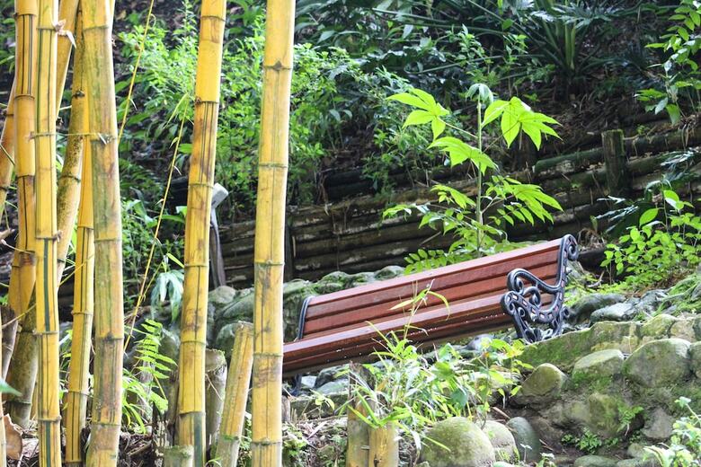Hotel Bambu Inn