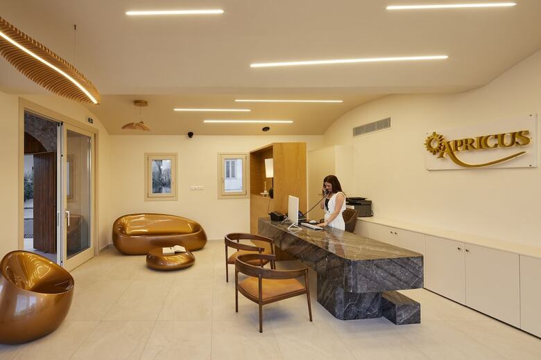 Hotel Apricus Suites